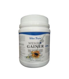 WINS TOWN WEIGHT GAINER HIGH PROTEIN GAINER POWER SUPPLEMENT 450G